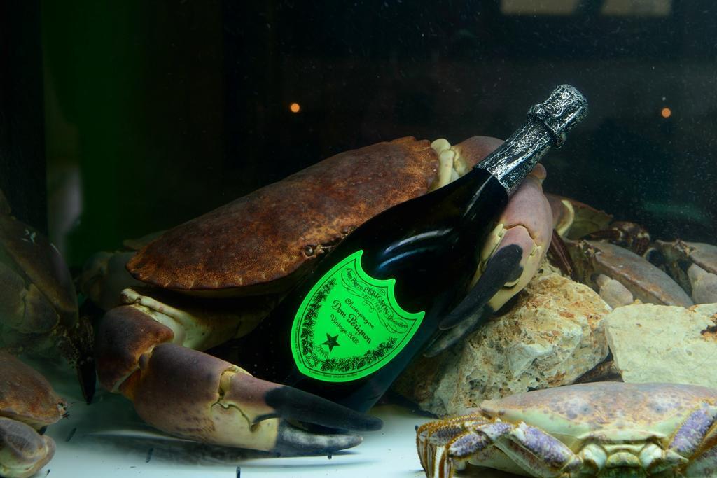Il Cecchini Hotel Pasiano Di Pordenone Bagian luar foto